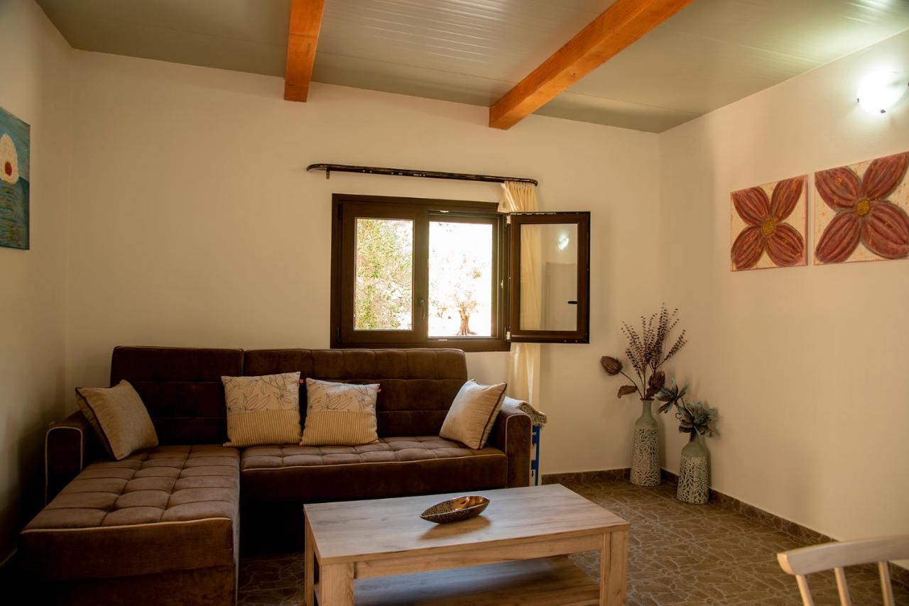 Chalet Flamingo Colour Valey House