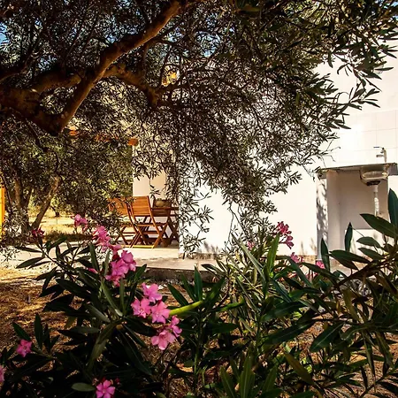 הוילה פלקסטרון Flamingo Colour Valey House מראה חיצוני תמונה